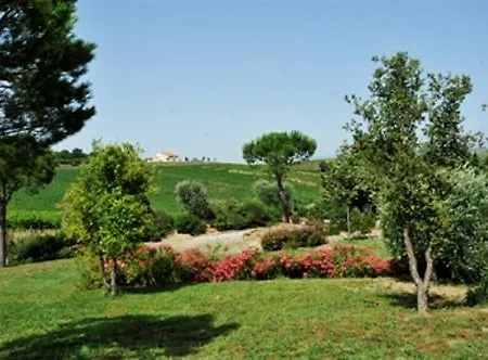 Val Delle Vigne